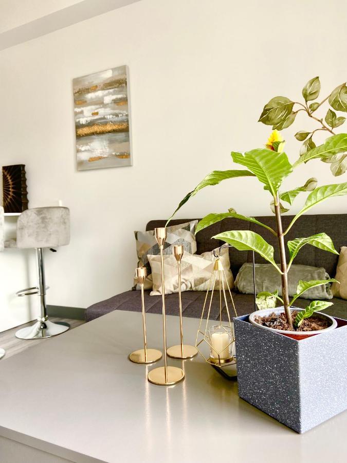 Comodo Y Elegante Apartamento En Fabuloso Condo! San Jose  Eksteriør bilde