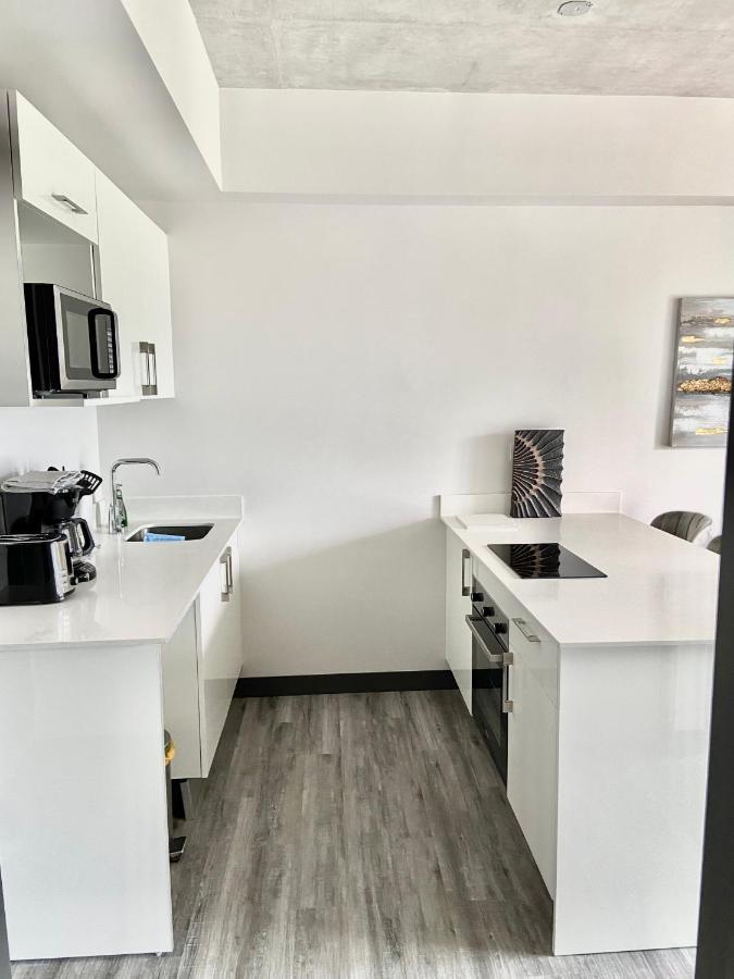 Comodo Y Elegante Apartamento En Fabuloso Condo! San Jose  Eksteriør bilde