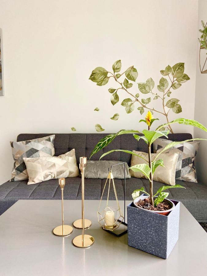 Comodo Y Elegante Apartamento En Fabuloso Condo! San Jose  Eksteriør bilde
